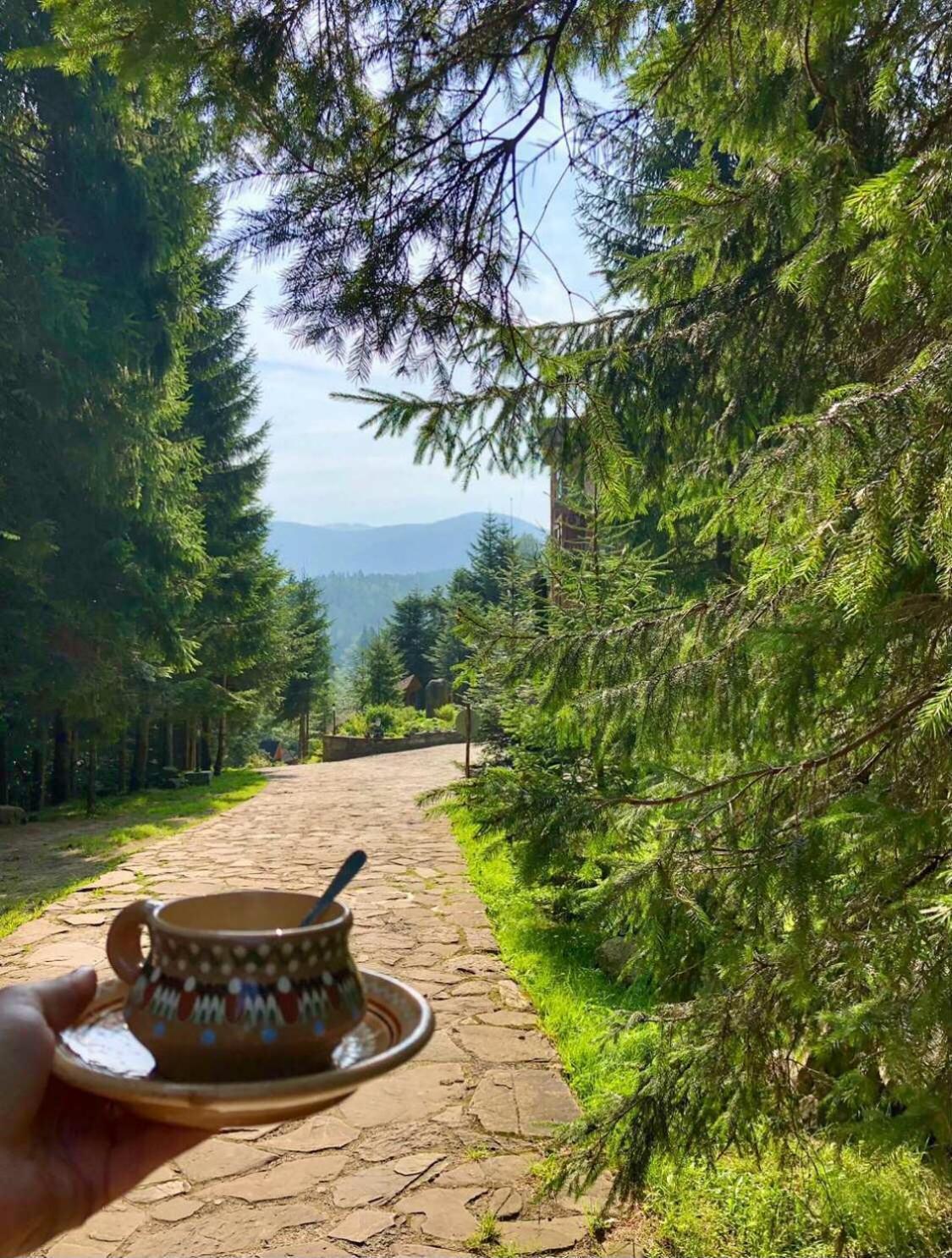 Hotel Dykyi Med Tatariv Dış mekan fotoğraf
