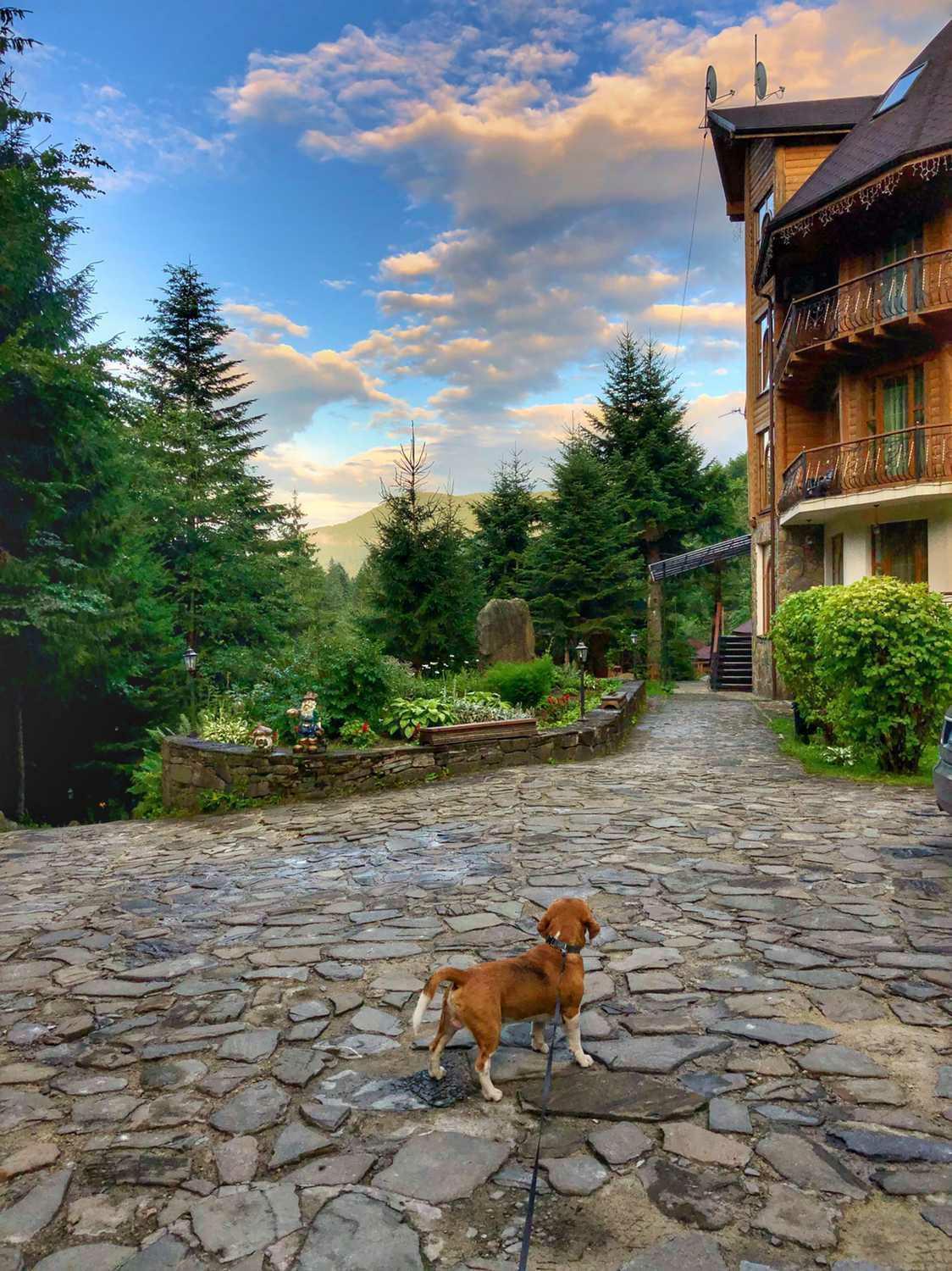 Hotel Dykyi Med Tatariv Dış mekan fotoğraf
